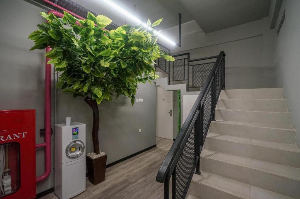 Oyo 568 Rajawali Homestay Palembang Esterno foto